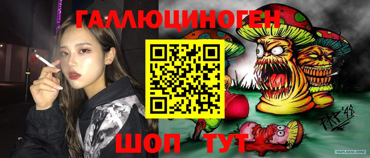 Псилоцибиновые грибы мухоморы Астрахань